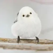 にゃんころりんの画像