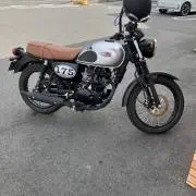 Timの画像