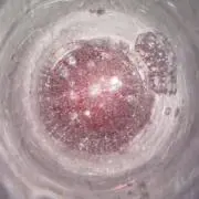 あいうえおの画像