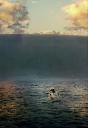 蟹々の画像