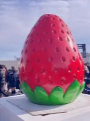 もんちっちの画像