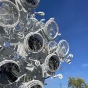 ビターの画像