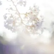 マル@お気軽にコメント下さいませ✨