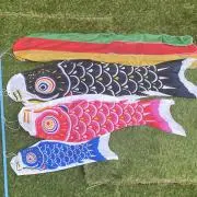 KOADAの画像