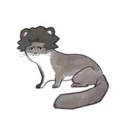 ariの画像