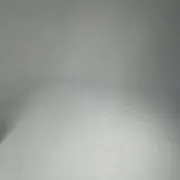 ホオジロザメの画像