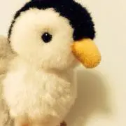 Sの画像