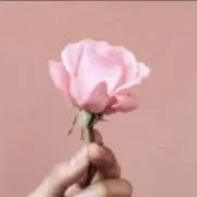 suの画像