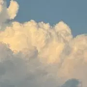 saプロフ必読の画像
