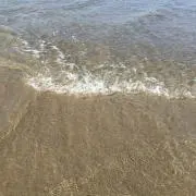 Taku◯の画像
