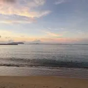 みかんの画像