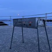 ワカメの画像