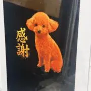いちごの画像