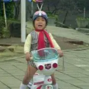 タイガー66の画像