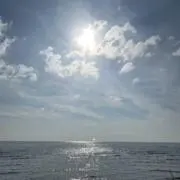 ふぁふぁまーくん☆