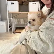 ふくの画像
