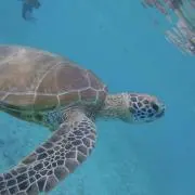 ymの画像