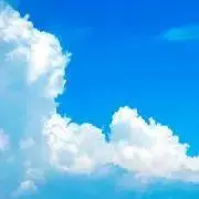 漬物くんの画像