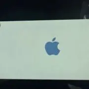 すずめ‼️即購入可‼️