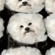 muの画像