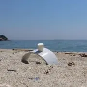 空飛ぶトマト