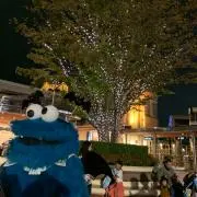 Mの画像