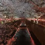 ゆかっぺの画像