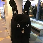 もーりすの画像
