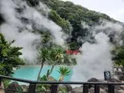りょうたんの画像
