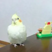 あっくんママ