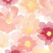 ここあ