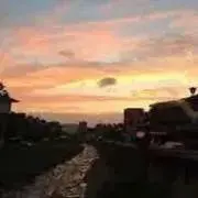 ありご