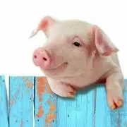 ぶぶぶぅ♡の画像