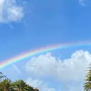 Rainbowの画像