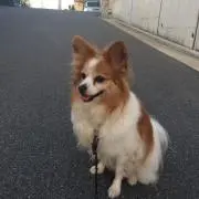 donbeの画像