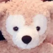 yukiの画像