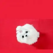 引越したら荷物が入りきらないの画像