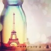フクロウの画像