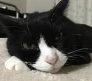 さち