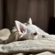tomohikoの画像
