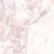 るる@プロフ必読の画像