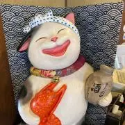 ねこまんま。断捨離中。の画像