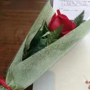 こけこの画像