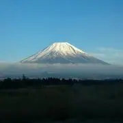 IWC29の画像