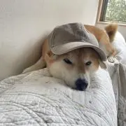 もか
