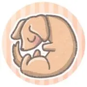 ぱんの画像