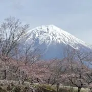 sem12の画像