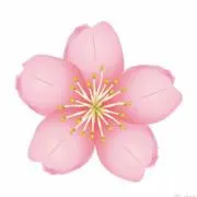 竜崎な桜乃
