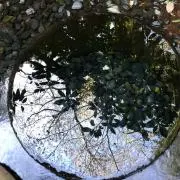 じーじー