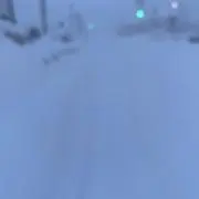 りんなり